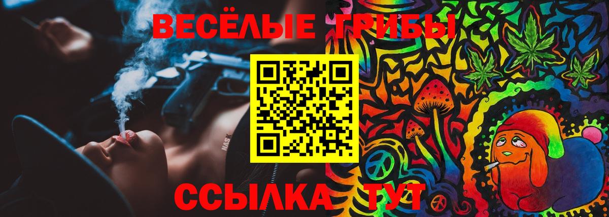 Нальчик  наркота  Вход с VPN  Галлюциногенные грибы мицелий 