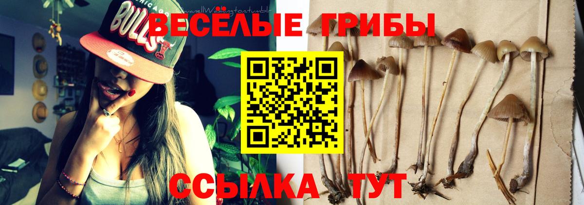 Галлюциногенные грибы мухоморы Нальчик